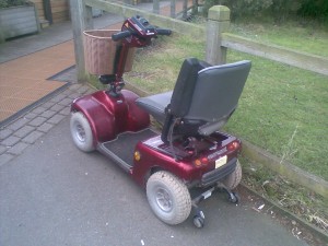 Rear View of the 2nd Beast
